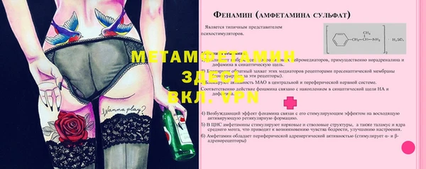 прущие грибы Нефтекумск