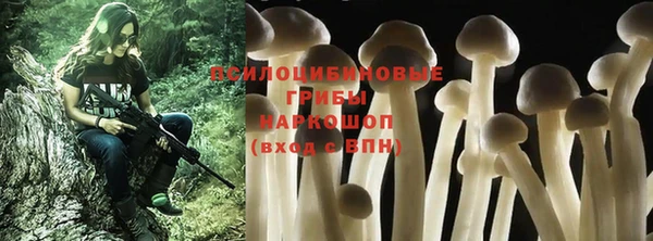 мяу мяу мука Абаза